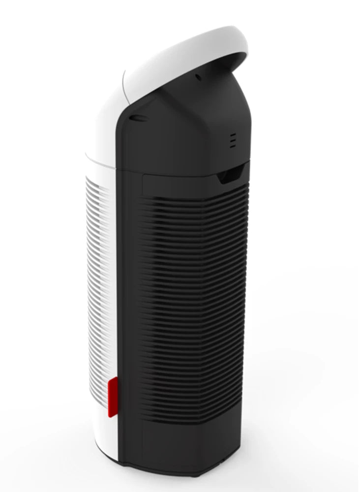 Boneco P300 - Luchtreiniger