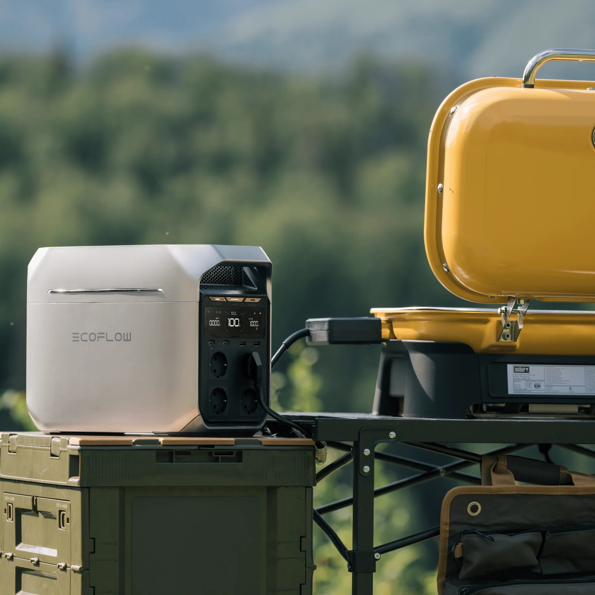 EcoFlow DELTA 3-serie zonnegenerator (PV220W)
