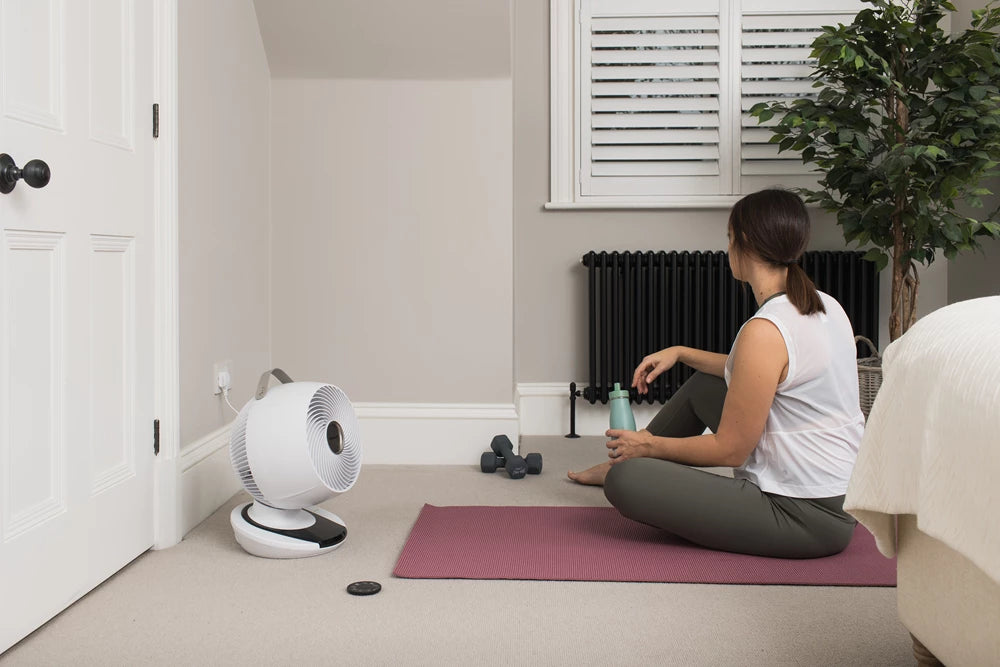 Meaco 1056 - Ventilator + GRATIS Storage Bag: Winnaar Stiftung Warentest Duitsland!